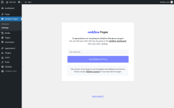 Page screenshot: Webflow Pages &rarr; Settings