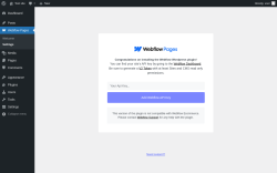 Page screenshot: Webflow Pages &rarr; Settings