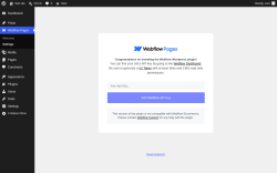 Page screenshot: Webflow Pages &rarr; Settings