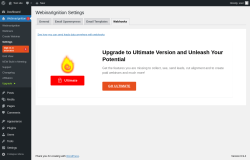 Page screenshot: WebinarIgnition &rarr; Settings &rarr; Webhooks