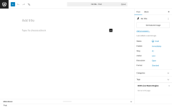 Page screenshot: Add Post &lsaquo; Test site &mdash; WordPress