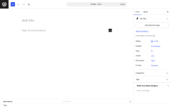 Page screenshot: Add Post &lsaquo; Test site &mdash; WordPress