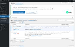 Page screenshot: Plugins &lsaquo; Test site &mdash; WordPress
