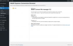 Page screenshot: Media &rarr; WebP Express