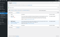 Page screenshot: Plugins &lsaquo; Test site &mdash; WordPress
