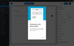 Page screenshot: Add New Post ‹ Test site — WordPress