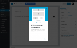 Page screenshot: Add New Page ‹ Test site — WordPress