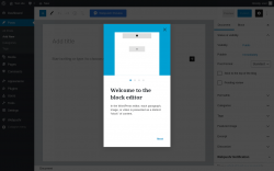 Page screenshot: Add New Post ‹ Test site — WordPress
