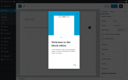 Page screenshot: Add New Post ‹ Test site — WordPress