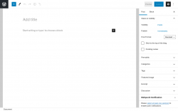 Page screenshot: Add New Post ‹ Test site — WordPress