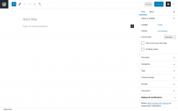 Page screenshot: Add New Post ‹ Test site — WordPress