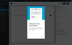 Page screenshot: Add New Page ‹ Test site — WordPress