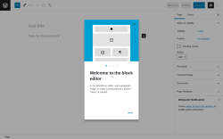 Page screenshot: Add New Page ‹ Test site — WordPress