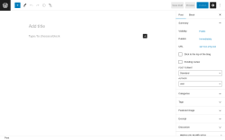 Page screenshot: Add New Post ‹ Test site — WordPress