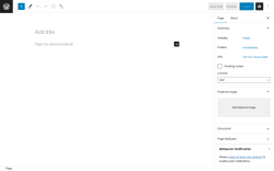 Page screenshot: Add New Page ‹ Test site — WordPress