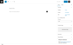 Page screenshot: Add New Page ‹ Test site — WordPress