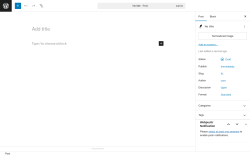 Page screenshot: Add Post ‹ Test site — WordPress