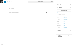 Page screenshot: Add Post ‹ Test site — WordPress