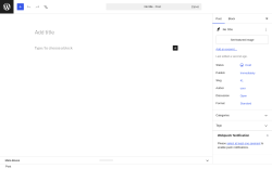 Page screenshot: Add Post &lsaquo; Test site &mdash; WordPress