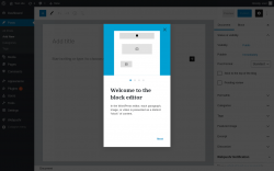 Page screenshot: Add New Post ‹ Test site — WordPress