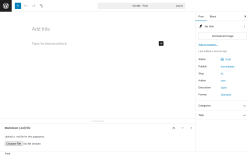 Page screenshot: Add Post ‹ Test site — WordPress