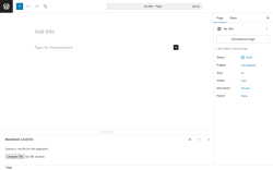 Page screenshot: Add Page ‹ Test site — WordPress