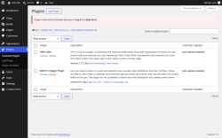 Page screenshot: Plugins &lsaquo; Test site &mdash; WordPress