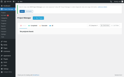 Page screenshot: Project Manager
