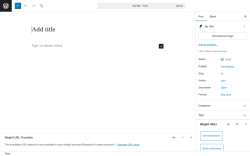 Page screenshot: Add Post ‹ Test site — WordPress