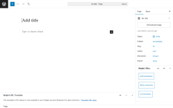Page screenshot: Add Page ‹ Test site — WordPress