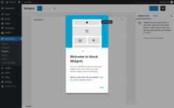 Page screenshot: Widgets &lsaquo; Test site &mdash; WordPress