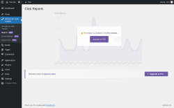 Page screenshot: WhatsLink Click Tracker &rarr; Report PRO