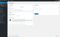 Page screenshot: Dashboard &lsaquo; Test site &mdash; WordPress