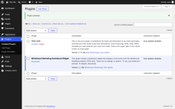 Page screenshot: Plugins &lsaquo; Test site &mdash; WordPress