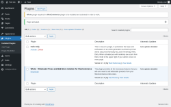 Page screenshot: Plugins ‹ Test site — WordPress
