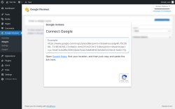 Page screenshot: Google Reviews → Widgets