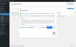 Page screenshot: Google Reviews → Widgets