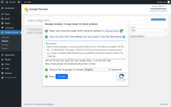 Page screenshot: Google Reviews &rarr; Widgets