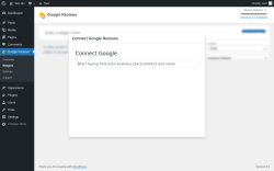 Page screenshot: Google Reviews &rarr; Widgets