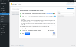 Page screenshot: Google Reviews &rarr; Widgets
