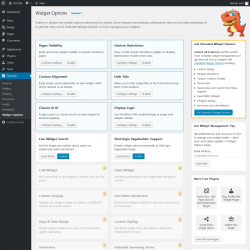Page screenshot: Settings &rarr; Widget Options