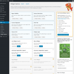 Page screenshot: Settings &rarr; Widget Options