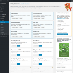 Page screenshot: Settings &rarr; Widget Options