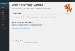 Page screenshot: Getting started with Widget Options &lsaquo; Test site &mdash; WordPress