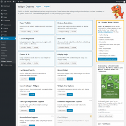 Page screenshot: Settings  &rarr; Widget Options