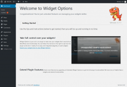 Page screenshot: Getting started with Widget Options &lsaquo; Test site &mdash; WordPress