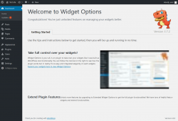 Page screenshot: Getting started with Widget Options &lsaquo; Test site &mdash; WordPress