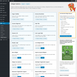 Page screenshot: Settings &rarr; Widget Options