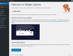 Page screenshot: Getting started with Widget Options &lsaquo; Test site &mdash; WordPress