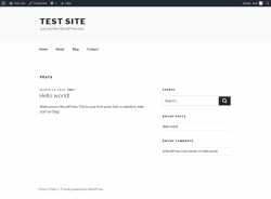 Page screenshot: Test site &ndash; Just another WordPress site